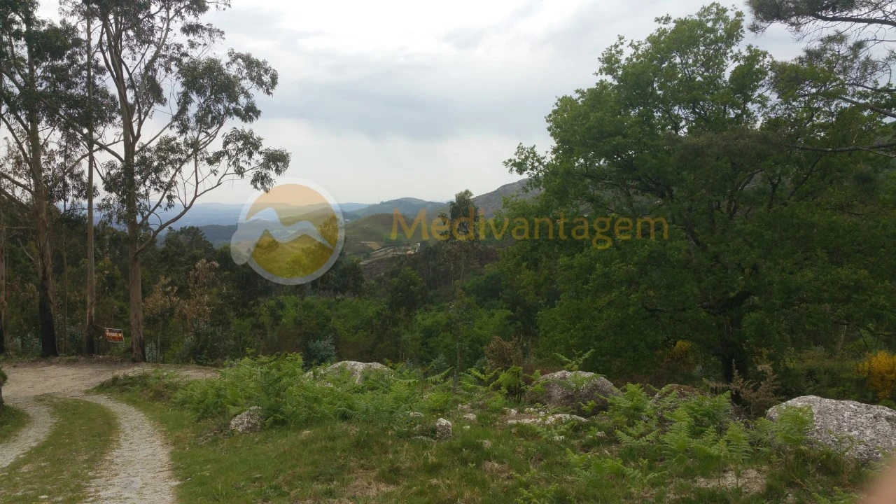 Terreno para Venda em Gondoriz Foto 1