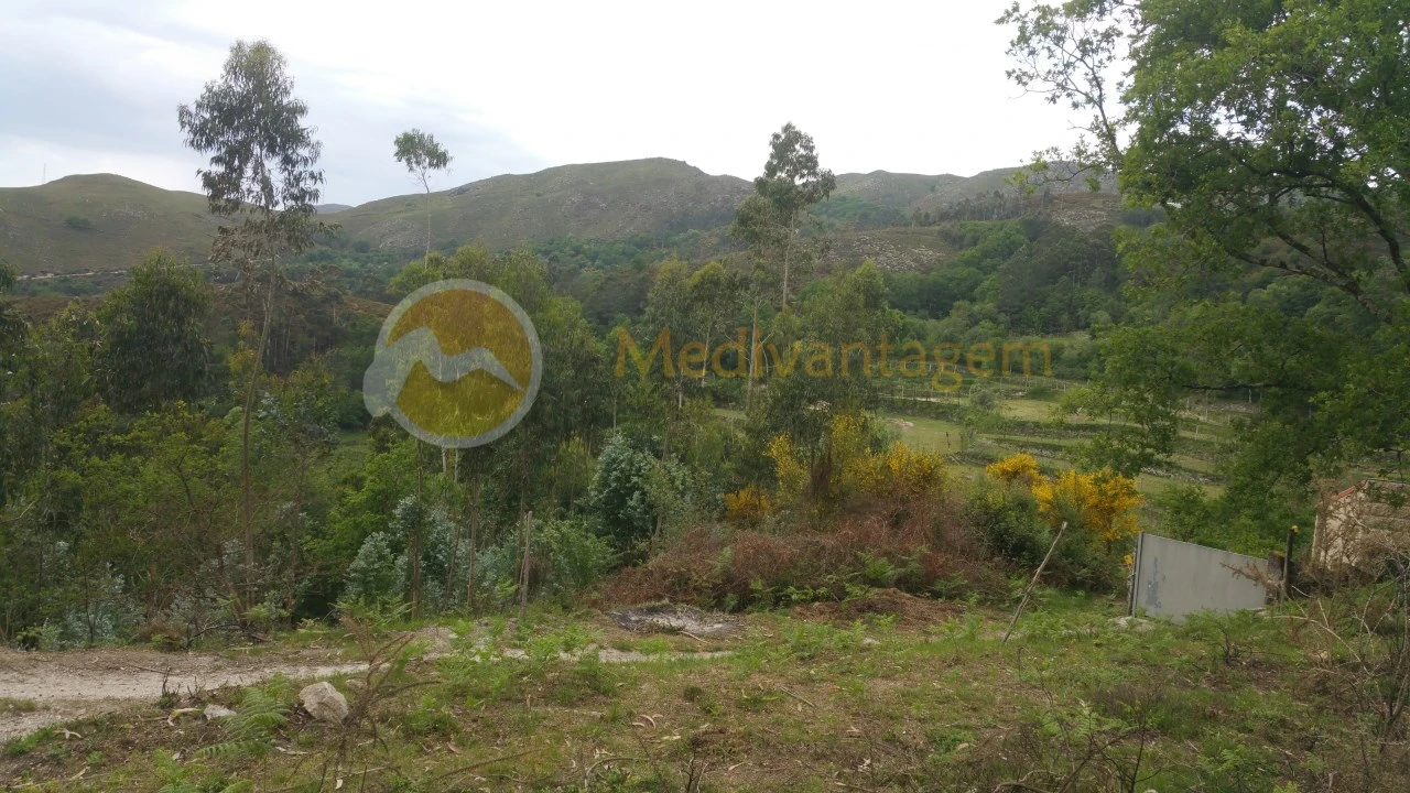 Terreno para Venda em Gondoriz Foto 4