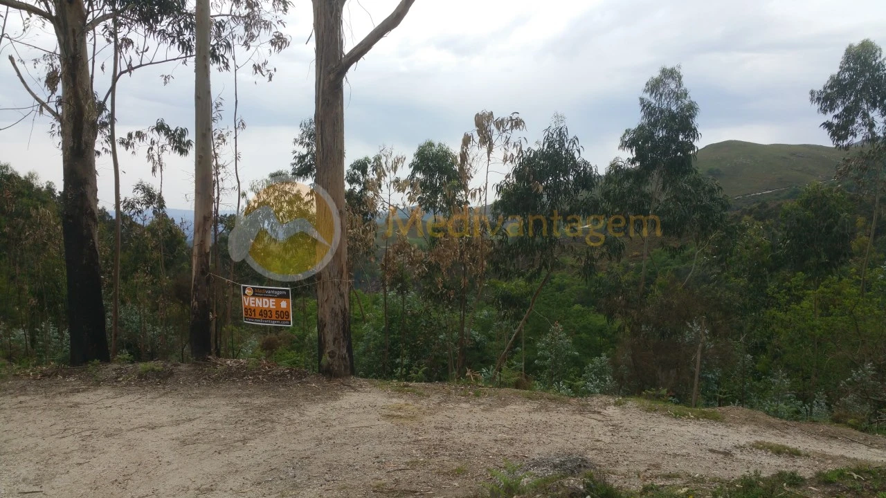 Terreno para Venda em Gondoriz Foto 5