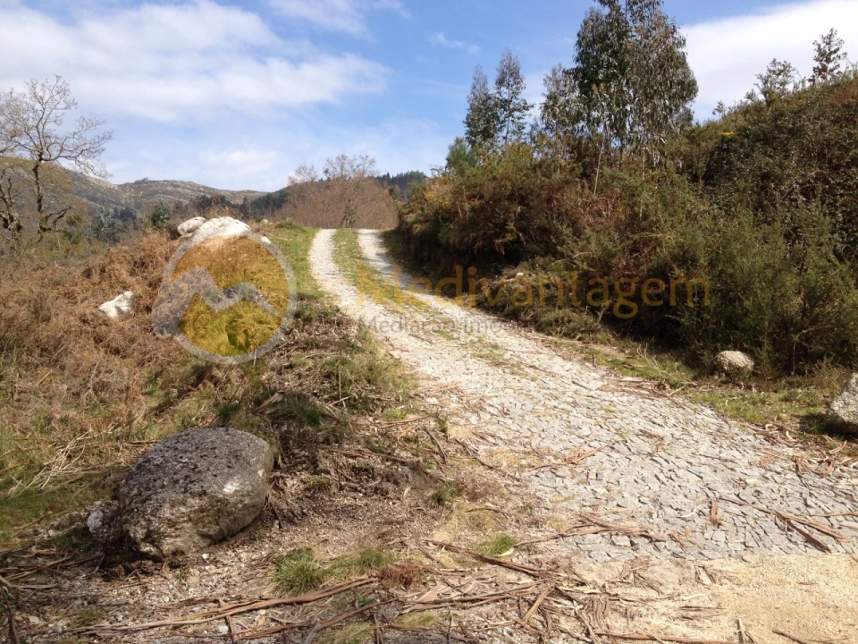 Terreno para Venda em Gondoriz Foto 6