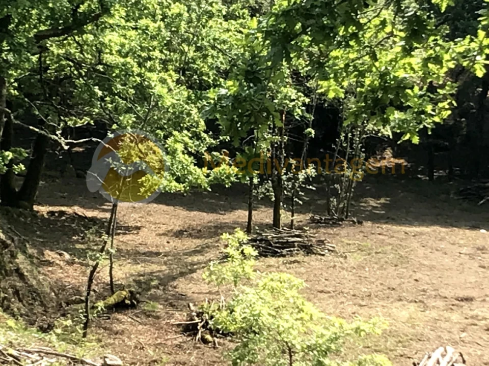 Terreno para Venda em Gondoriz Foto 7