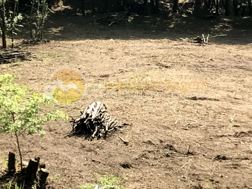 Terreno para Venda em Gondoriz Foto 8