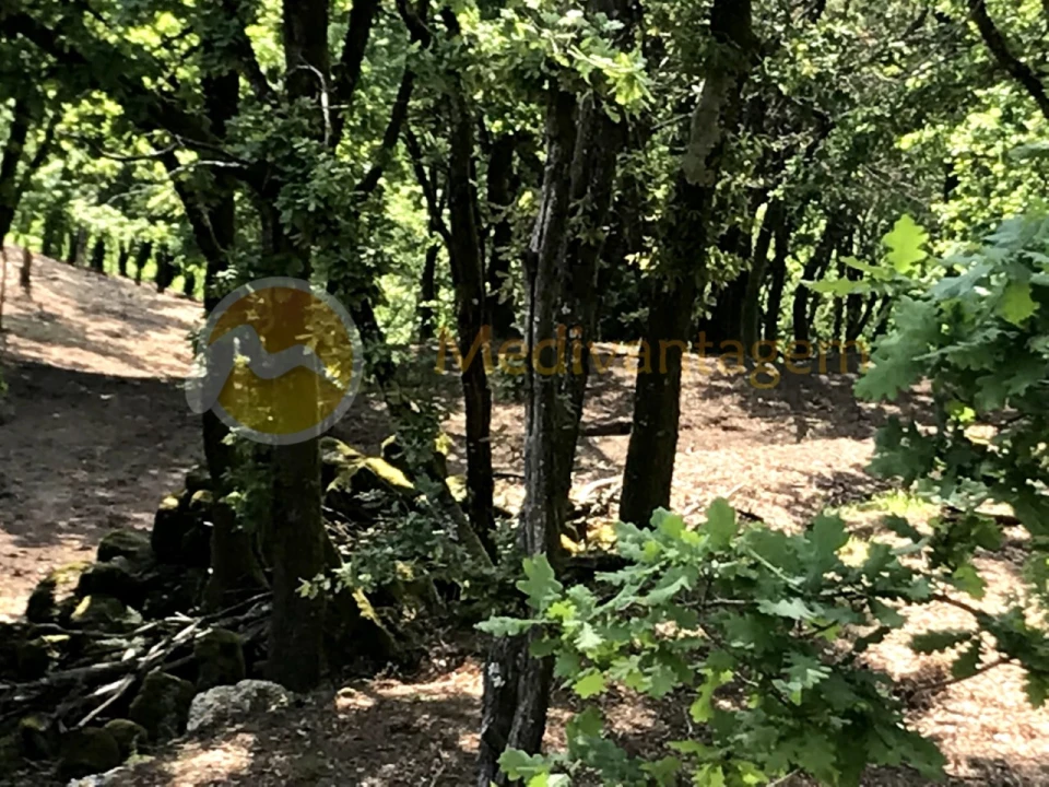 Terreno para Venda em Gondoriz Foto 12