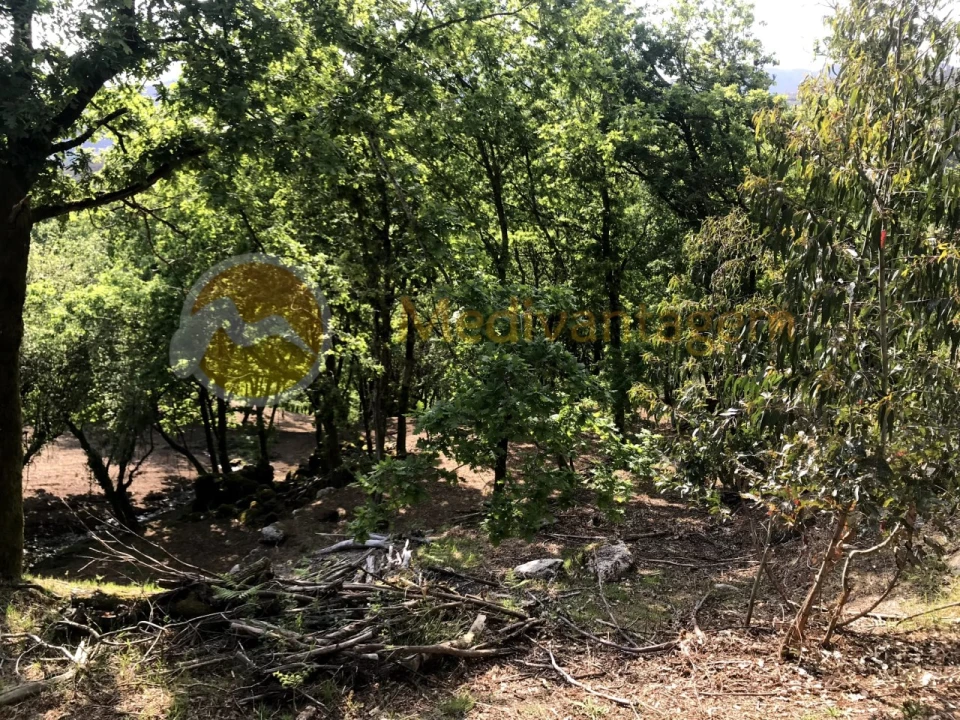 Terreno para Venda em Gondoriz Foto 14