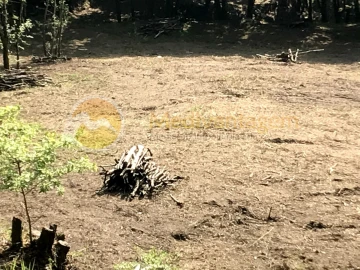 Terreno para Venda em Gondoriz