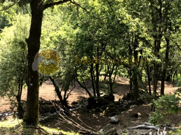 Terreno para Venda em Gondoriz