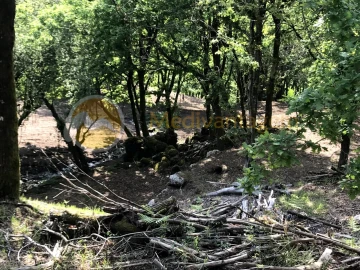 Terreno para Venda em Gondoriz