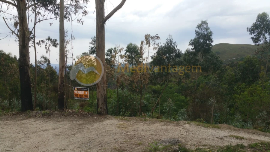 Terreno para Venda em Gondoriz Foto 5