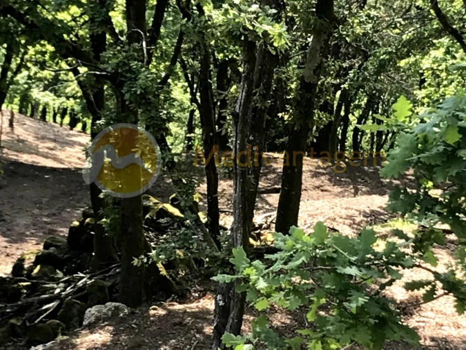 Terreno para Venda em Gondoriz Foto 12