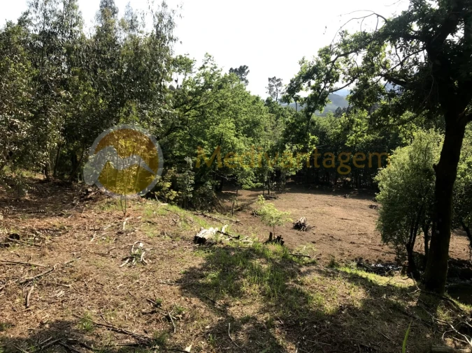 Terreno para Venda em Gondoriz Foto 13