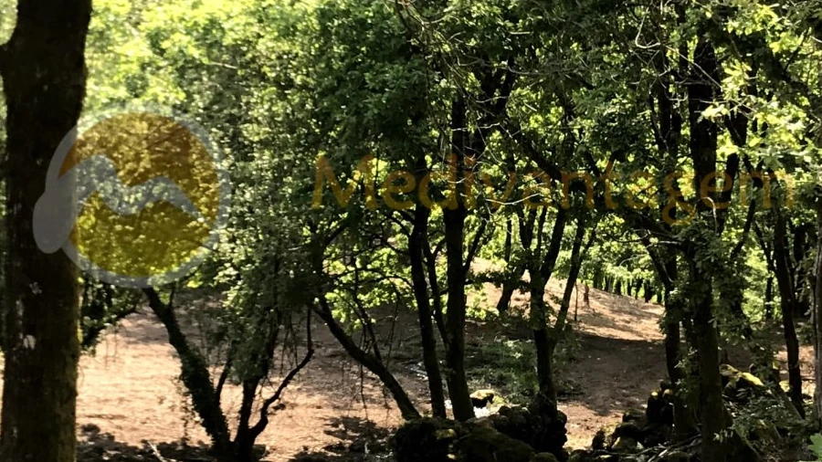 Terreno para Venda em Gondoriz
