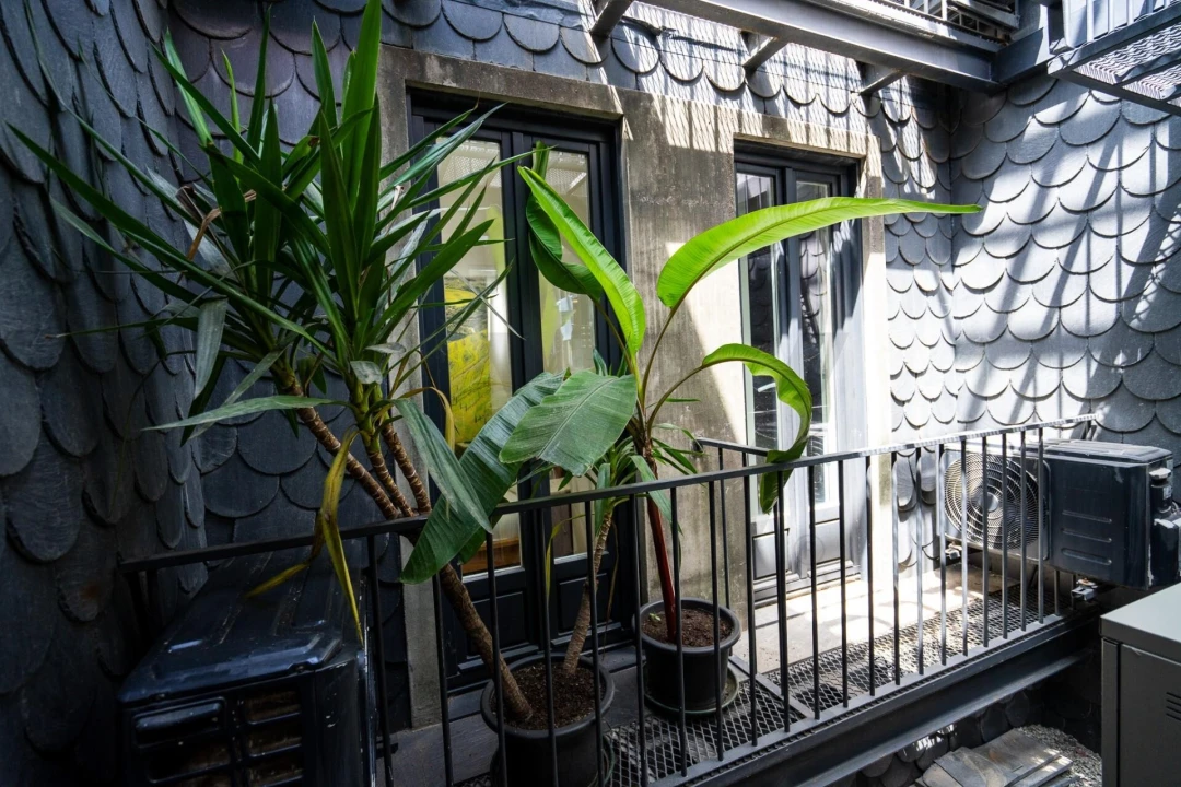Apartamento T1 para Venda em Cedofeita, Santo Ildefonso, Sé, Miragaia, São Nicolau e Vitória Foto 6