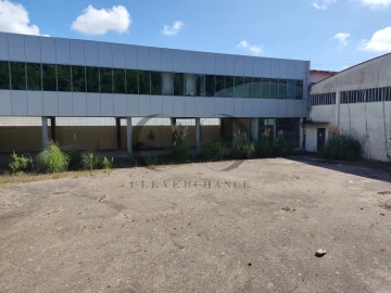 Armazém para Venda em Mozelos