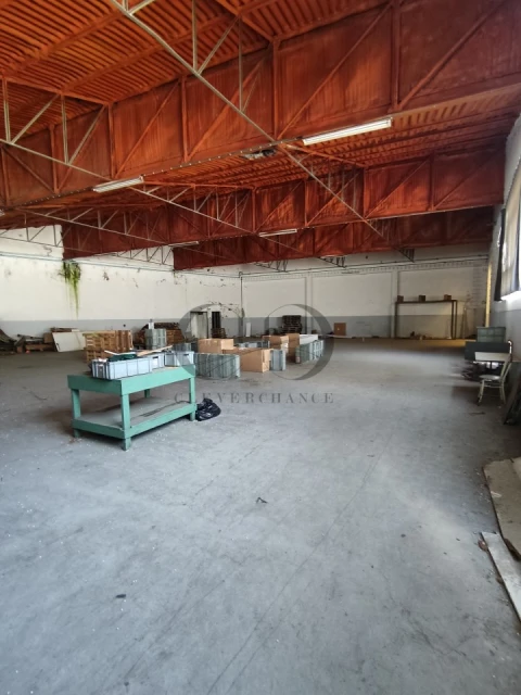 Armazém para Venda em Mozelos