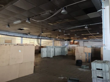Armazém para Venda em Mozelos