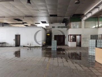 Armazém para Venda em Mozelos