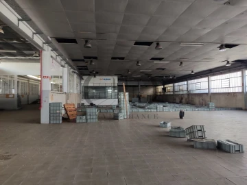 Armazém para Venda em Mozelos