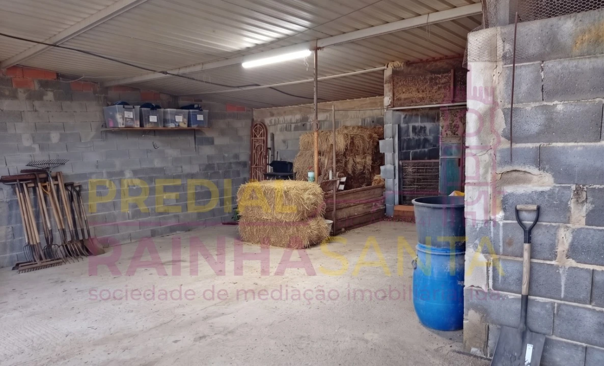 Terreno para Venda em Alpiarça Foto 4