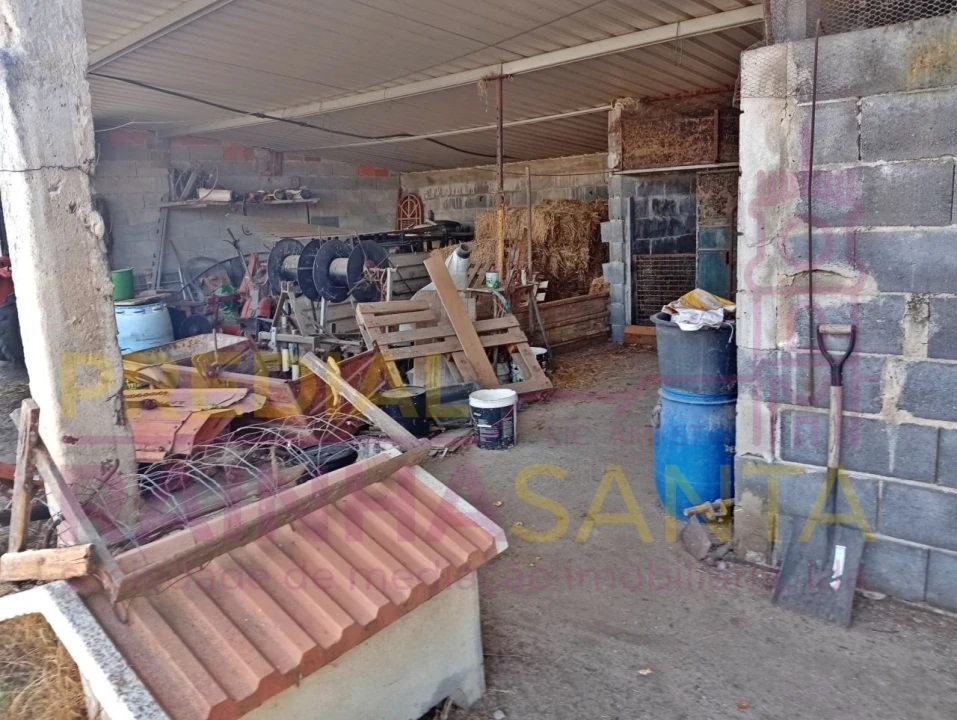Terreno para Venda em Alpiarça Foto 5