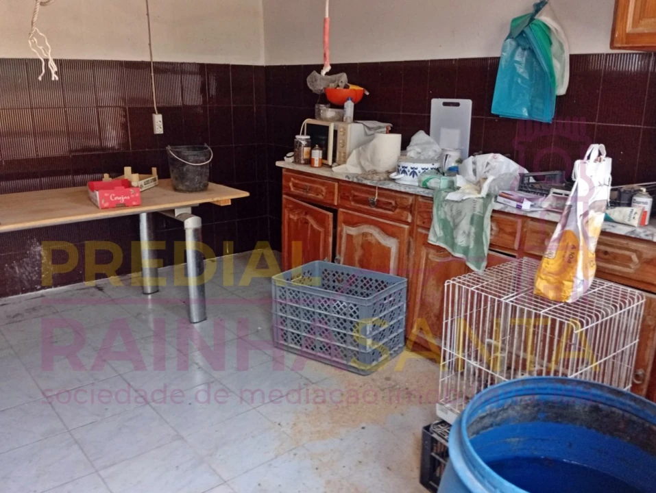 Terreno para Venda em Alpiarça Foto 6