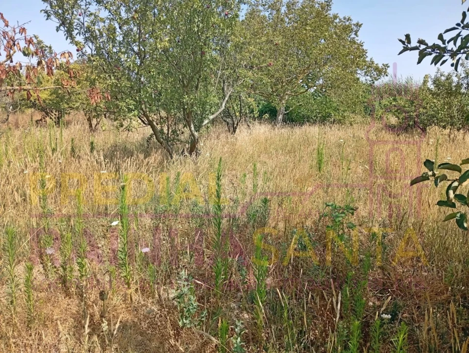 Terreno para Venda em Alpiarça Foto 7