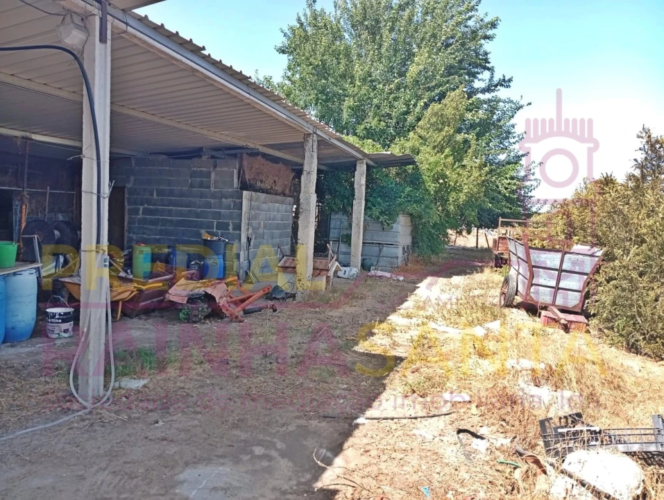 Terreno para Venda em Alpiarça Foto 9