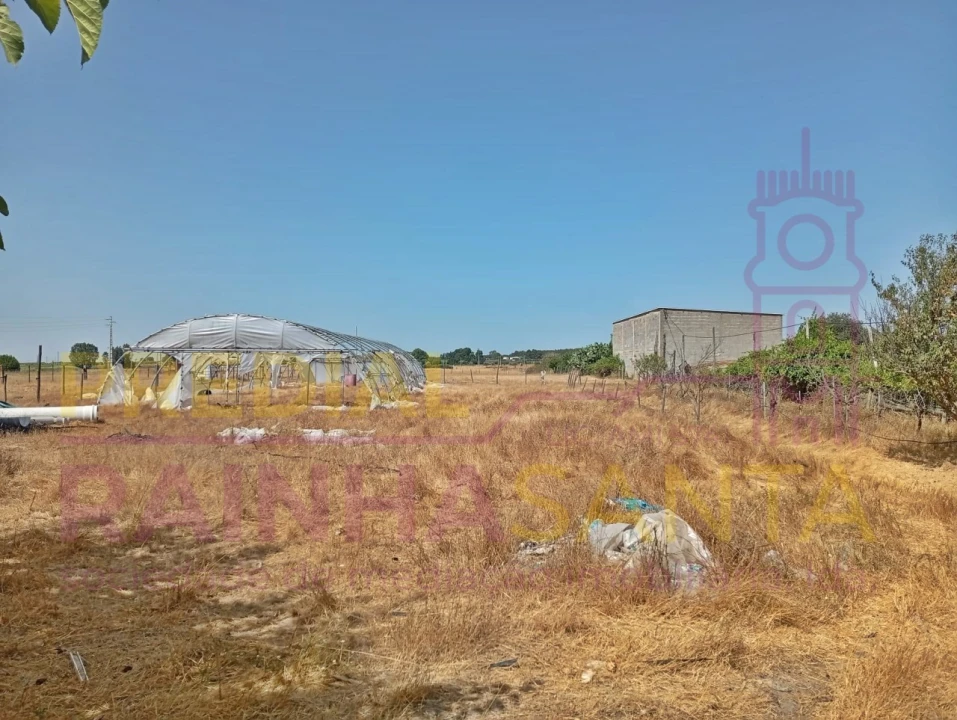 Terreno para Venda em Alpiarça Foto 10