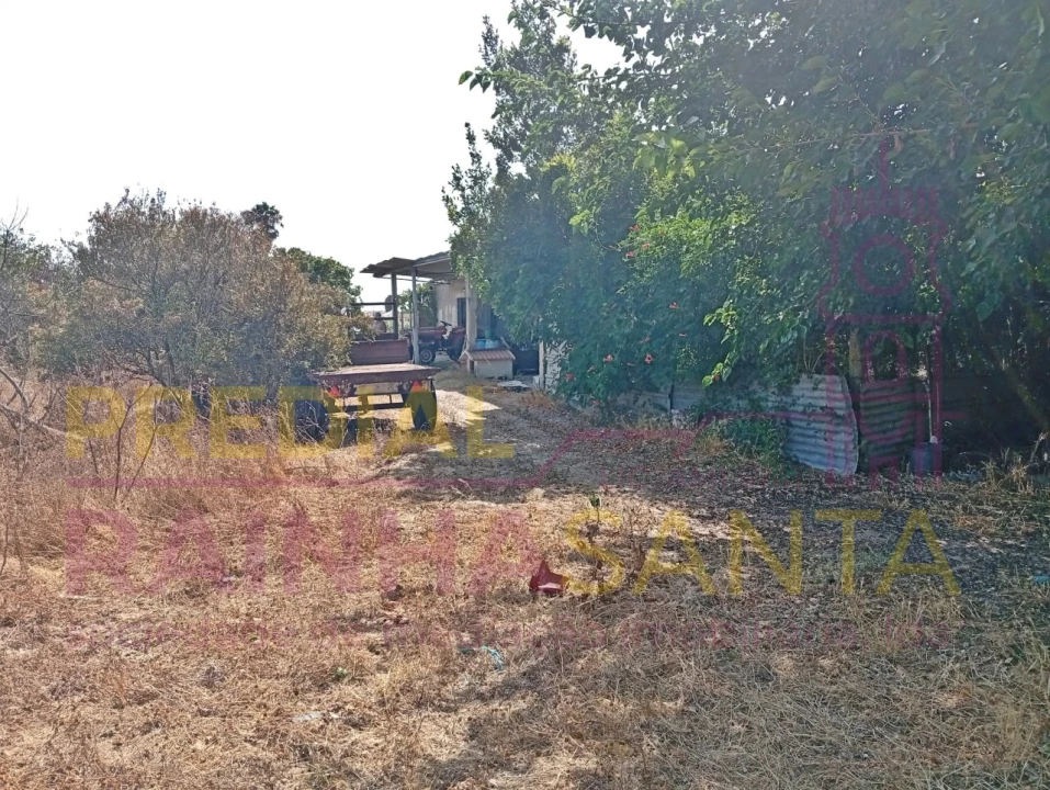 Terreno para Venda em Alpiarça Foto 11