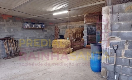 Terreno para Venda em Alpiarça