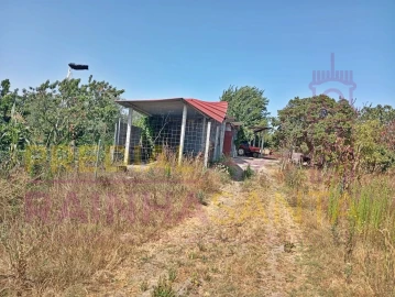 Terreno para Venda em Alpiarça