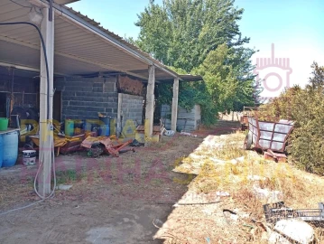 Terreno para Venda em Alpiarça