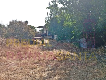 Terreno para Venda em Alpiarça