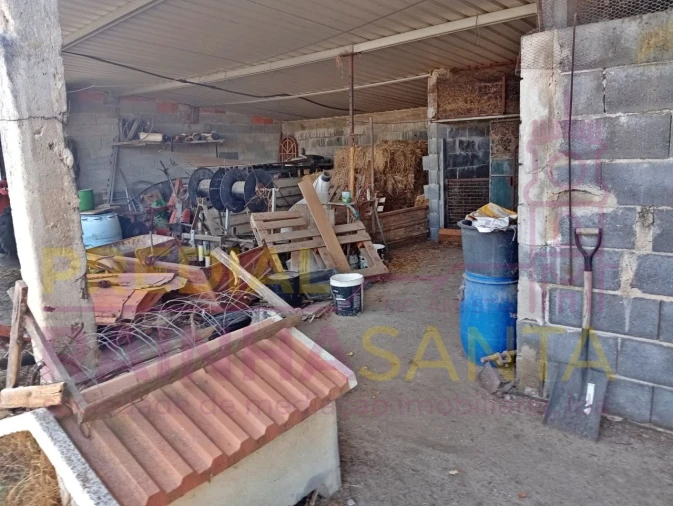 Terreno para Venda em Alpiarça Foto 5