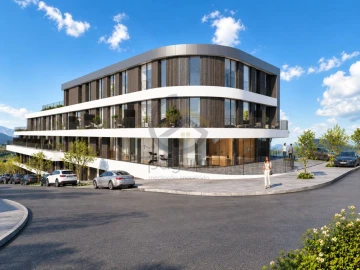 Apartamento T1 para Venda em Cristelos, Boim e Ordem