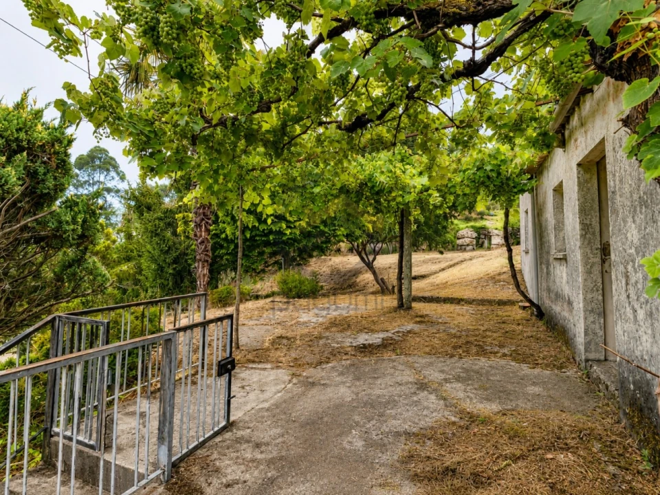 Moradia T3 para Venda em Banho e Carvalhosa Foto 22