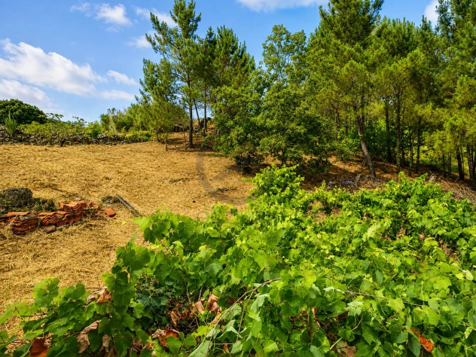Moradia T3 para Venda em Banho e Carvalhosa Foto 36
