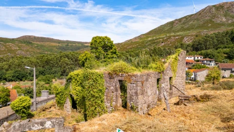 Terreno para Venda em Loivo