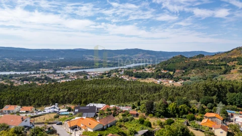 Terreno para Venda em Loivo