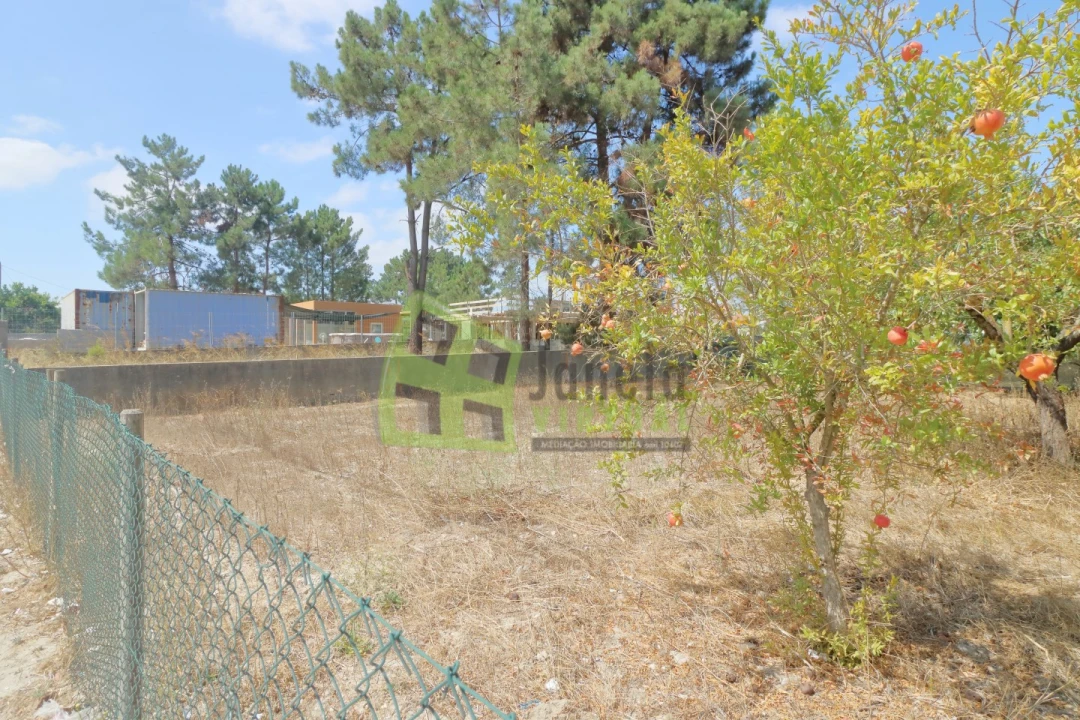 Terreno para Venda em Fernao Ferro Foto 3
