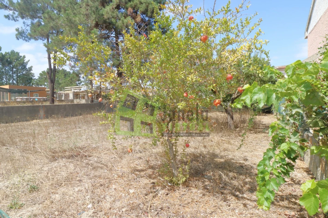Terreno para Venda em Fernao Ferro Foto 6