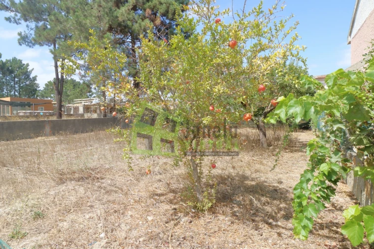 Terreno para Venda em Fernao Ferro Foto 6