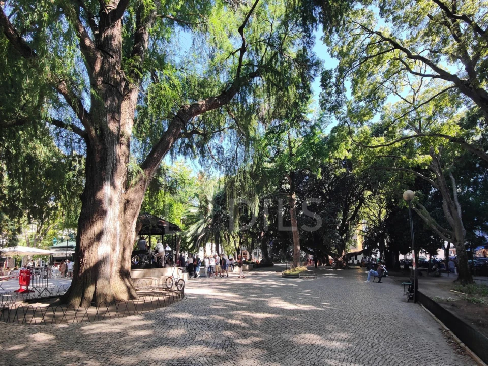 Apartamento T1 para Venda em Campo de Ourique Foto 8