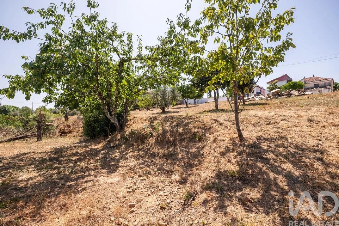 Moradia para Venda em Pedrogão Grande Foto 34