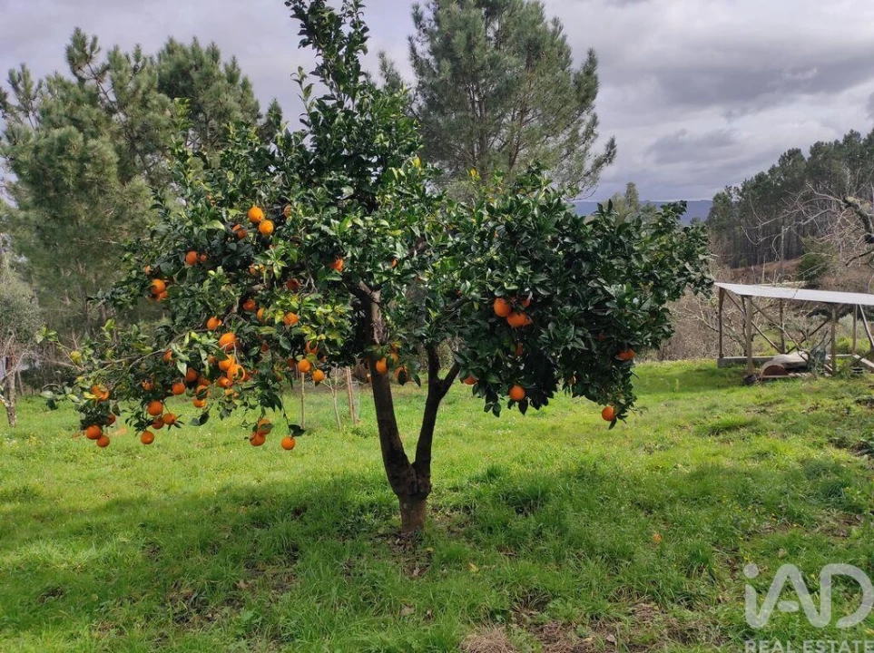 Moradia para Venda em Pedrogão Grande Foto 36