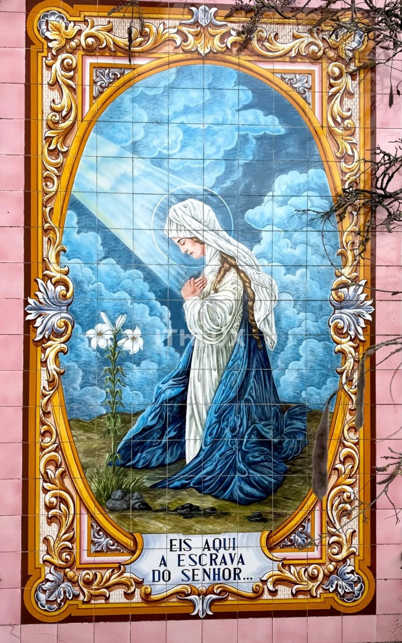 Prédio para Venda em Fatima Foto 5