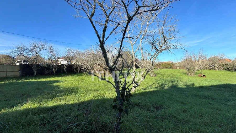 Prédio para Venda em Fatima Foto 18