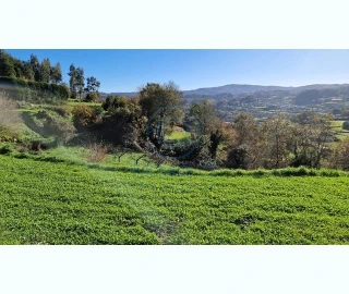 Terreno para Venda em Mozelos