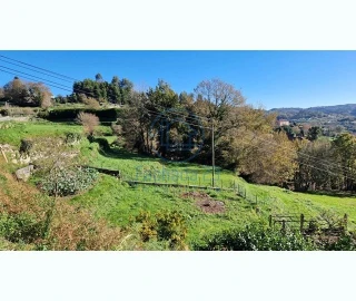 Terreno para Venda em Mozelos