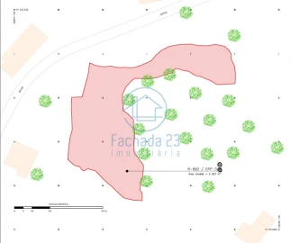 Terreno para Venda em Mozelos