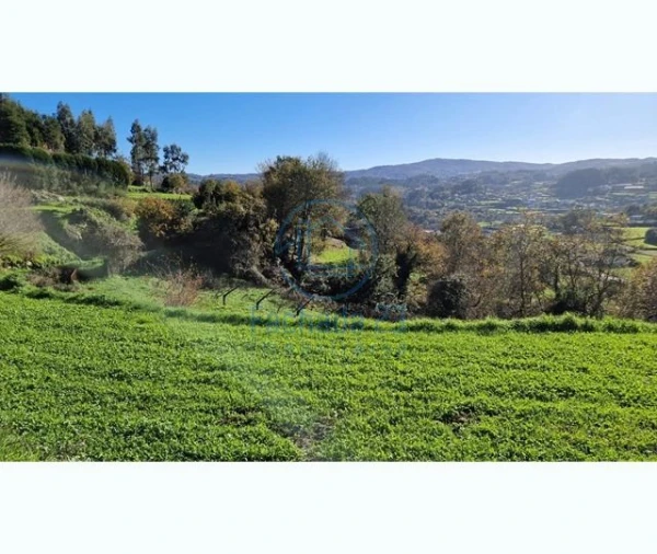 Terreno para Venda em Mozelos Foto 2